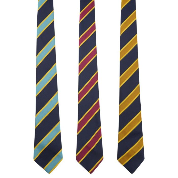St Matthew Academy Tie