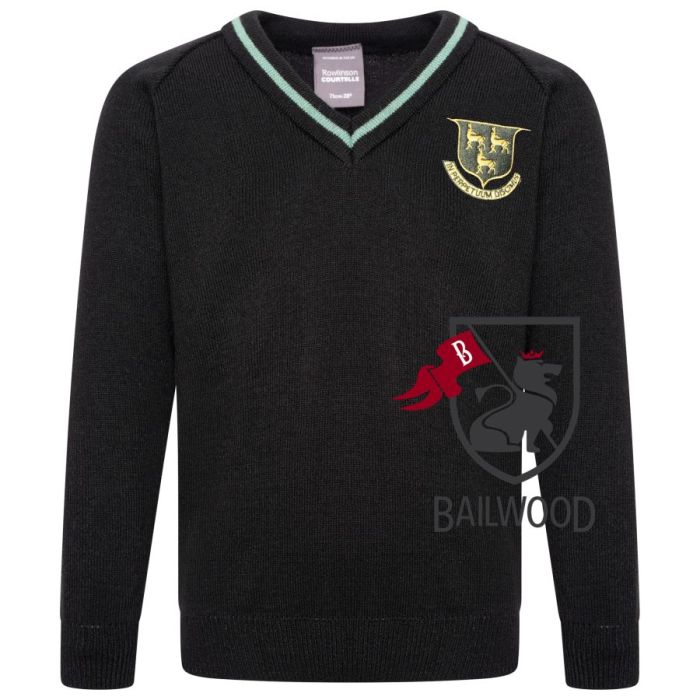 Prendergast Vale Nusery &  Primary School V- Neck  Jumper With Logo