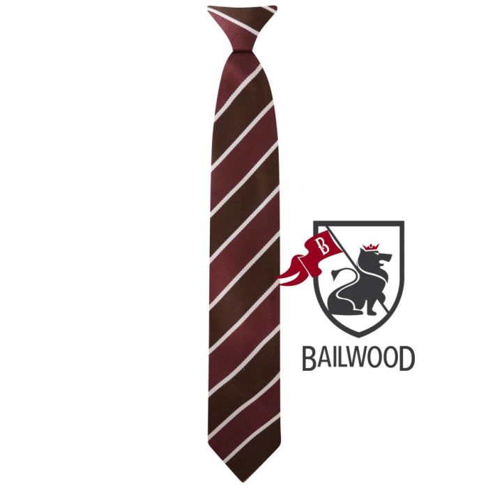 Official  Addey and Stanhope School Tie
