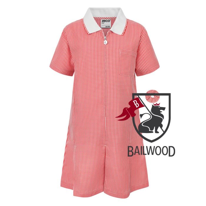 ALine Gingham Eco Dress - Red