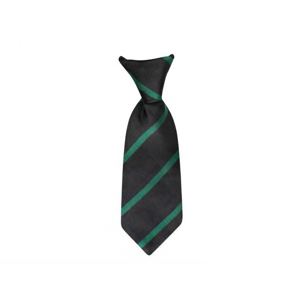 Prendergast Vale Nusery & Primary School Tie