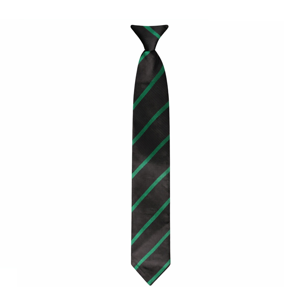 Prendergast Vale Secondary School Tie
