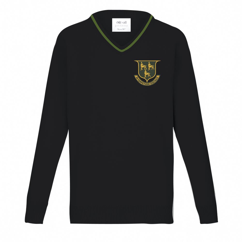 Prendergast Vale Nusery &  Primary School V- Neck  Jumper With Logo